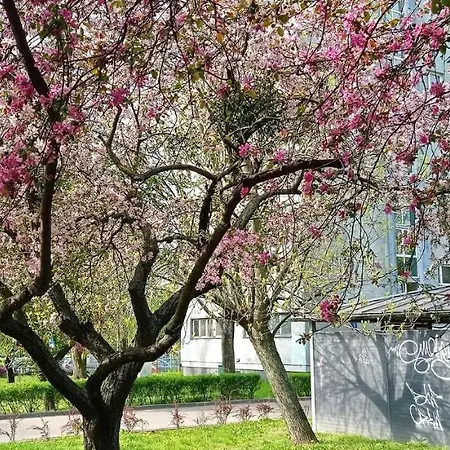 ホームステイ Mokotow For You ワルシャワ